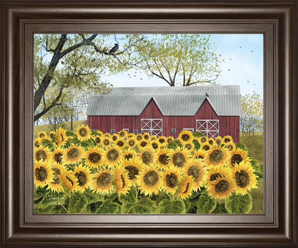 Sunshine By Billy Jacobs