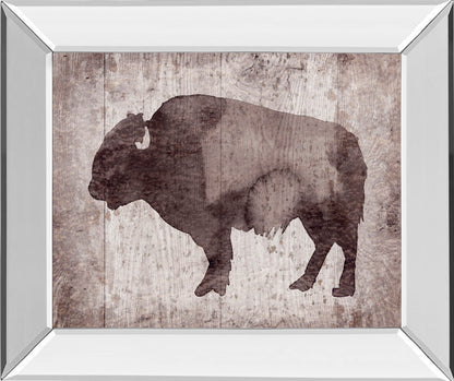 Mirrored Frame Wildness II-Timber By Sandra Jacobs