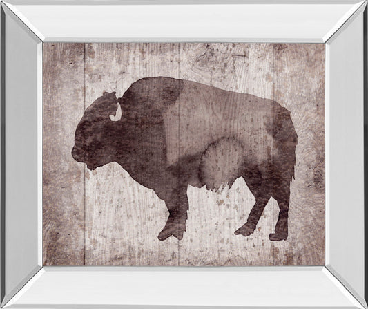 Mirrored Frame Wildness II-Timber By Sandra Jacobs