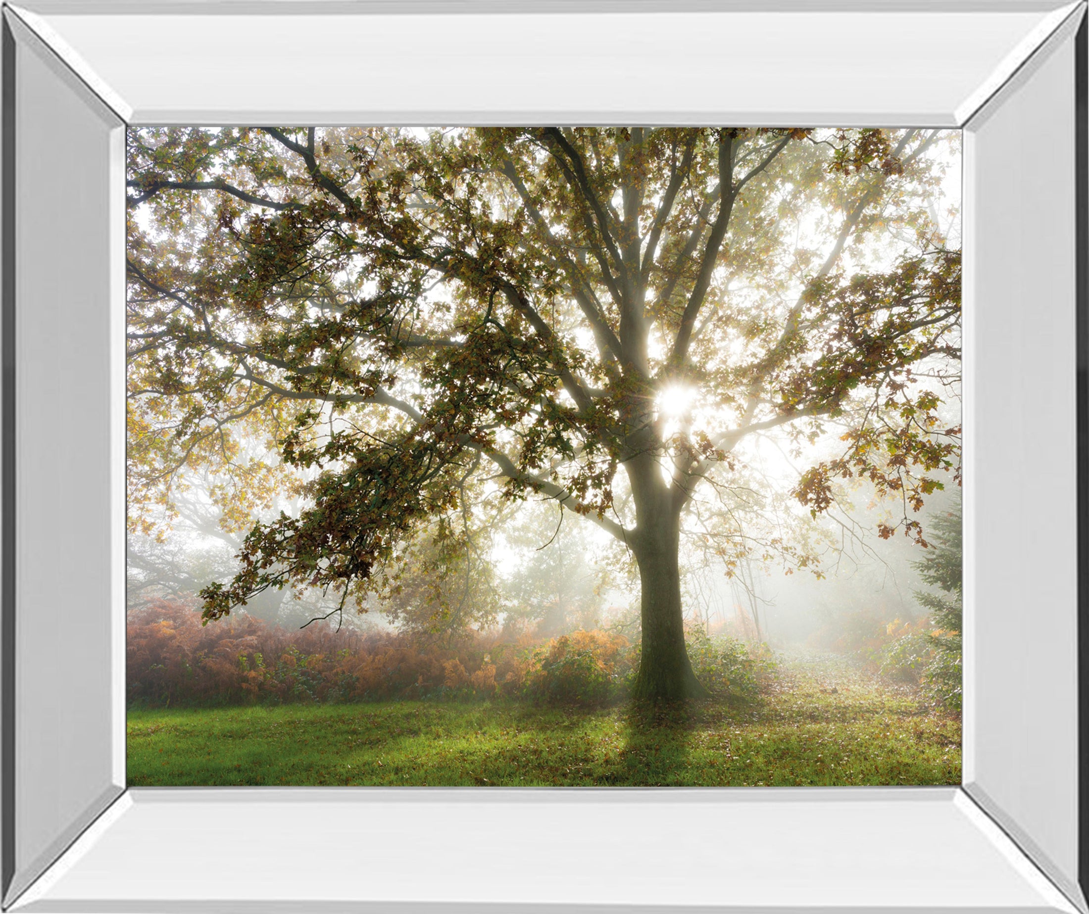 Mirrored Frame Morning Calm By Lee Frost