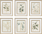Quiet Botanical Print on Paper Set in Double Frame
