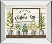 Farm Fresh Christmas Trees By Diane Weaver