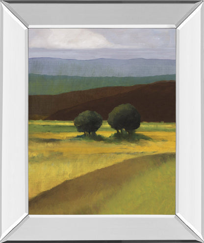 Field Of Light By Judith D'Agostino