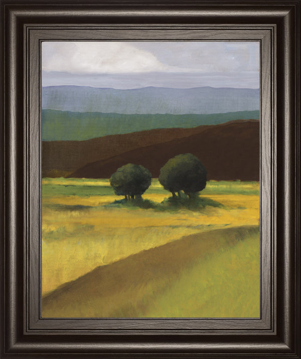 Field Of Light By Judith D'Agostino