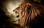 ''Hear me Roar'' Tempered Glass