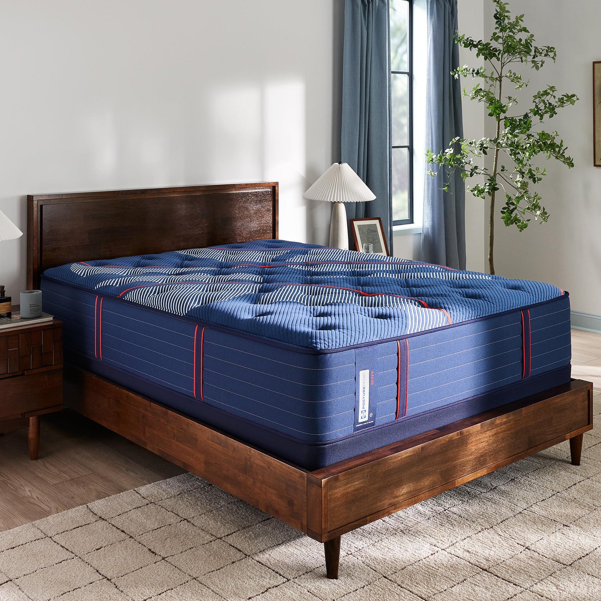  Sealy Albany II Tight Top Firm Mattress (California King) IMAGE 1