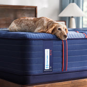  Sealy Albany II Tight Top Firm Mattress (Full) IMAGE 9