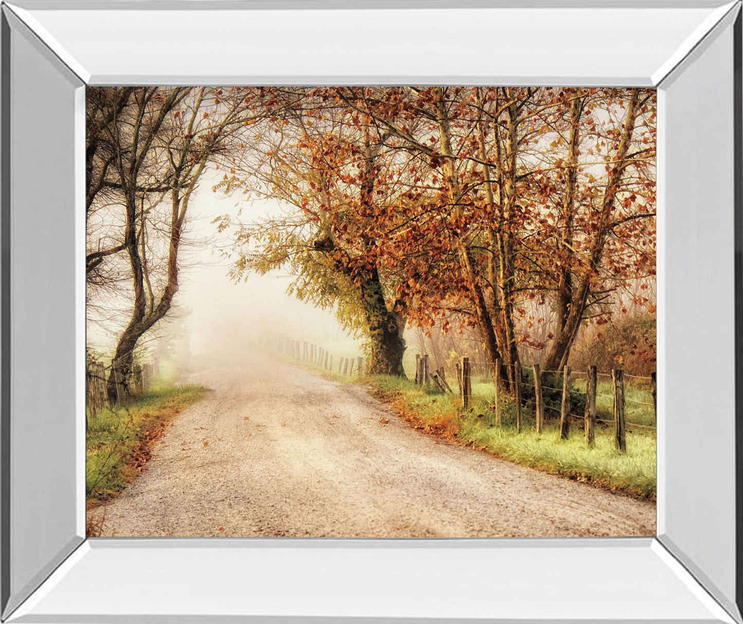 Fog Ahead By D. Burt