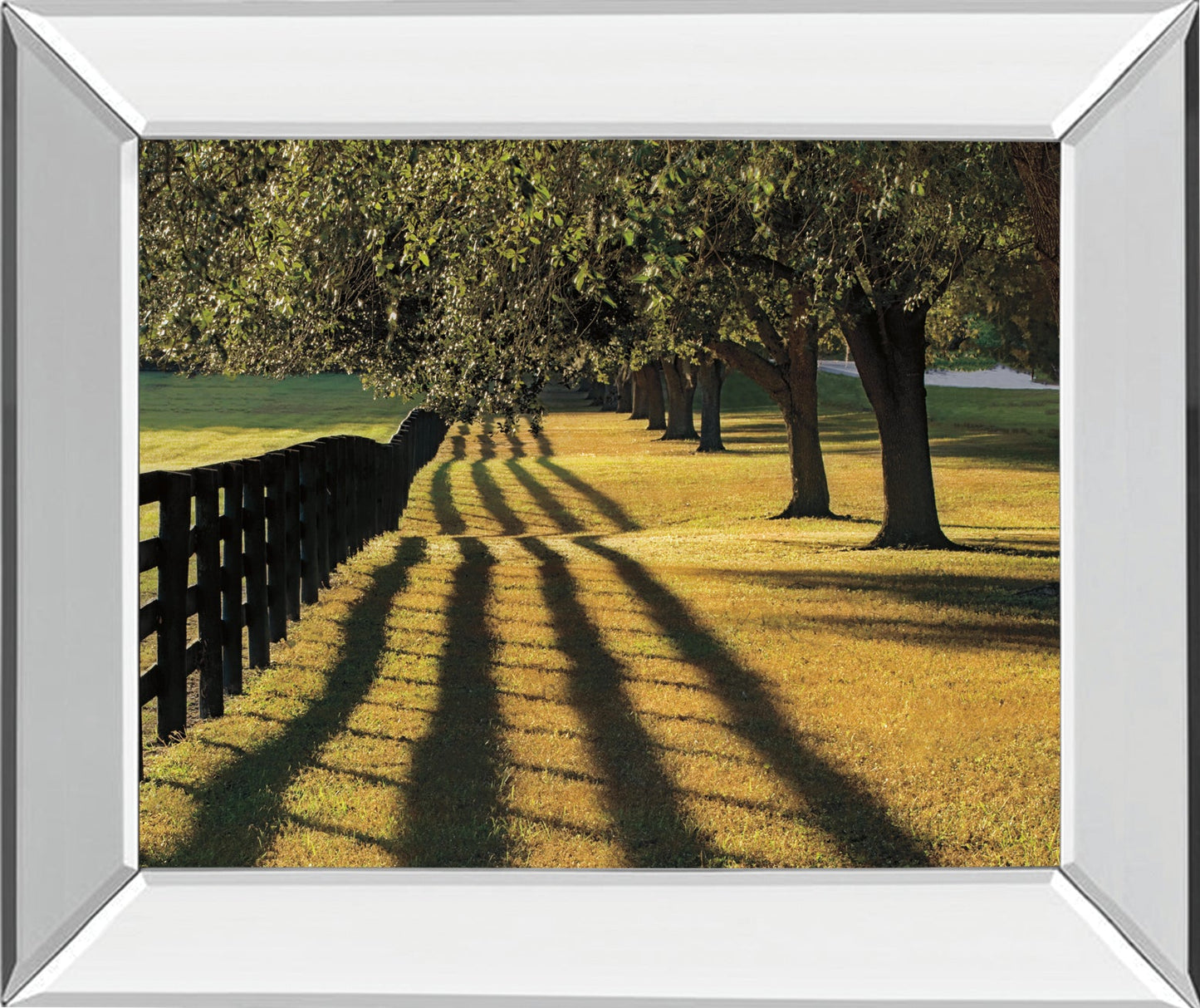 Chasing Shadows By Mike Jones