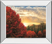 Crimson Tress By Celebrate Life Gallery