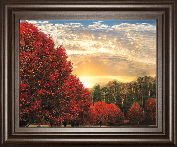 Crimson Tress By Celebrate Life Gallery