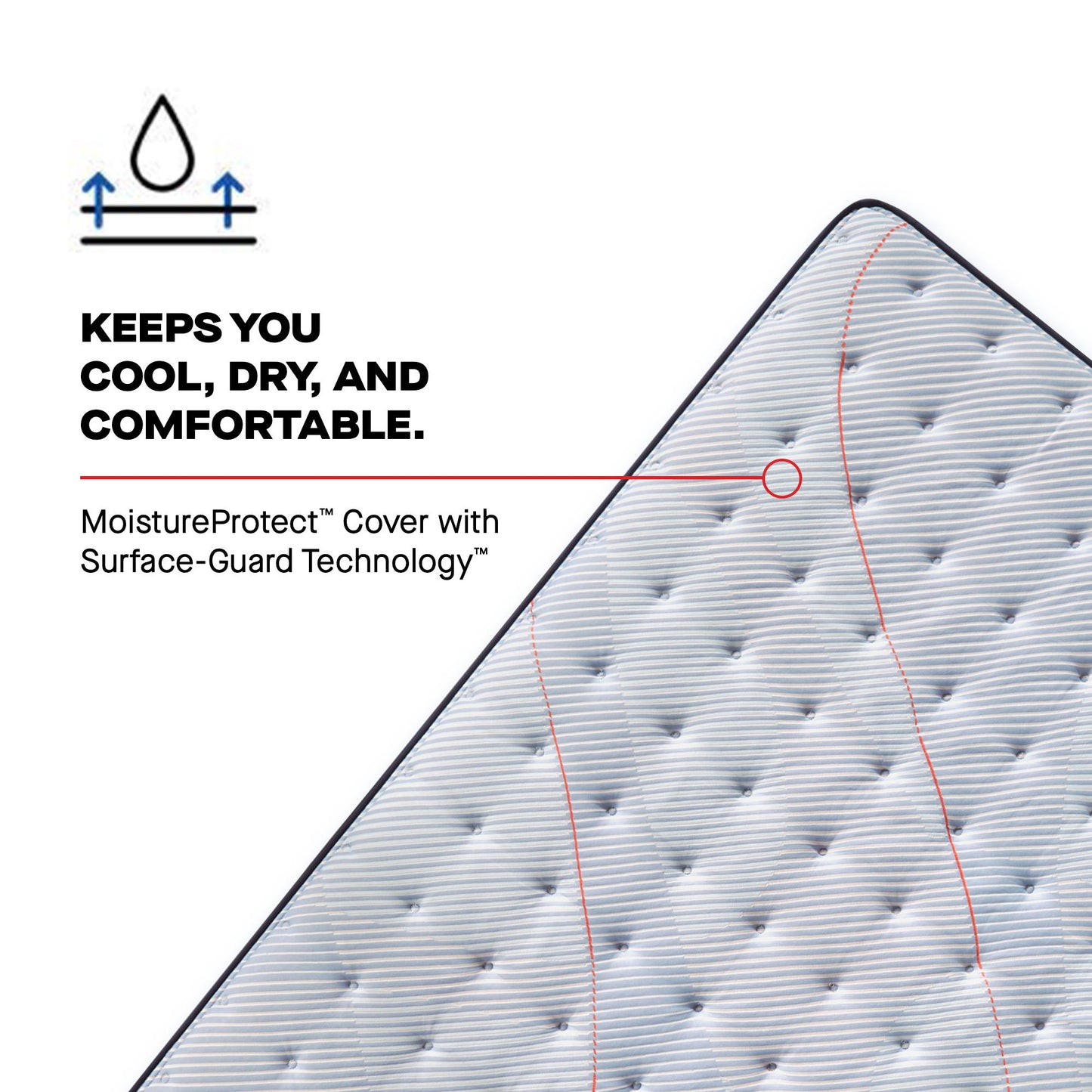  Sealy Medina II Tight Top Medium Mattress (California King) IMAGE 7
