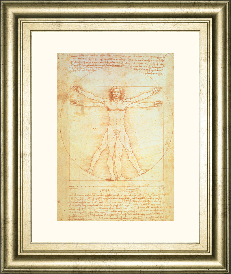 Vituvian Man By Leonardo Da Vinci