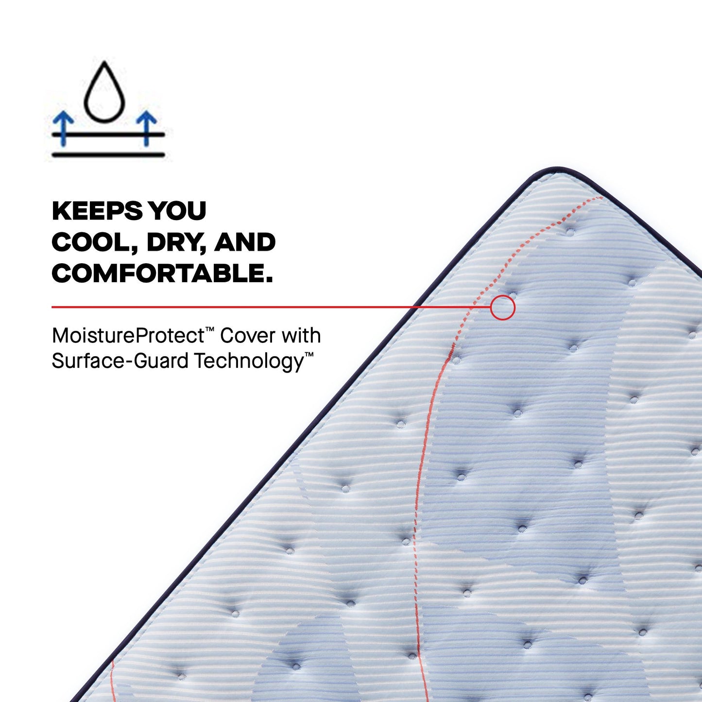  Sealy Paterson II Tight Top Ultra Firm Mattress (Twin) IMAGE 8