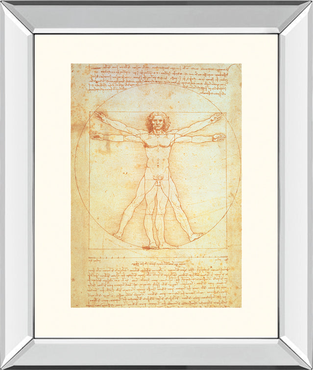Vituvian Man By Leonardo Da Vinci