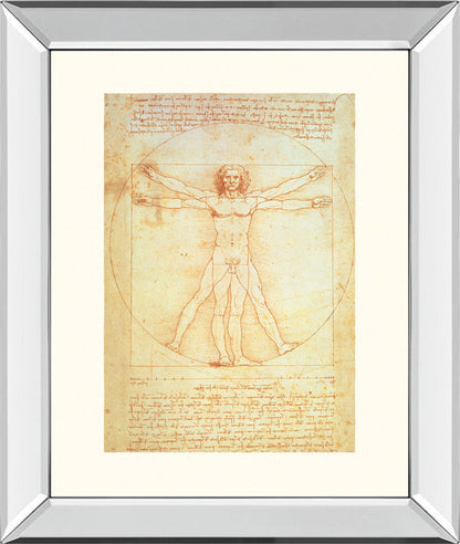 Vituvian Man By Leonardo Da Vinci