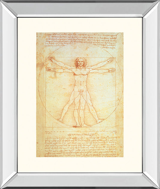 Vituvian Man By Leonardo Da Vinci