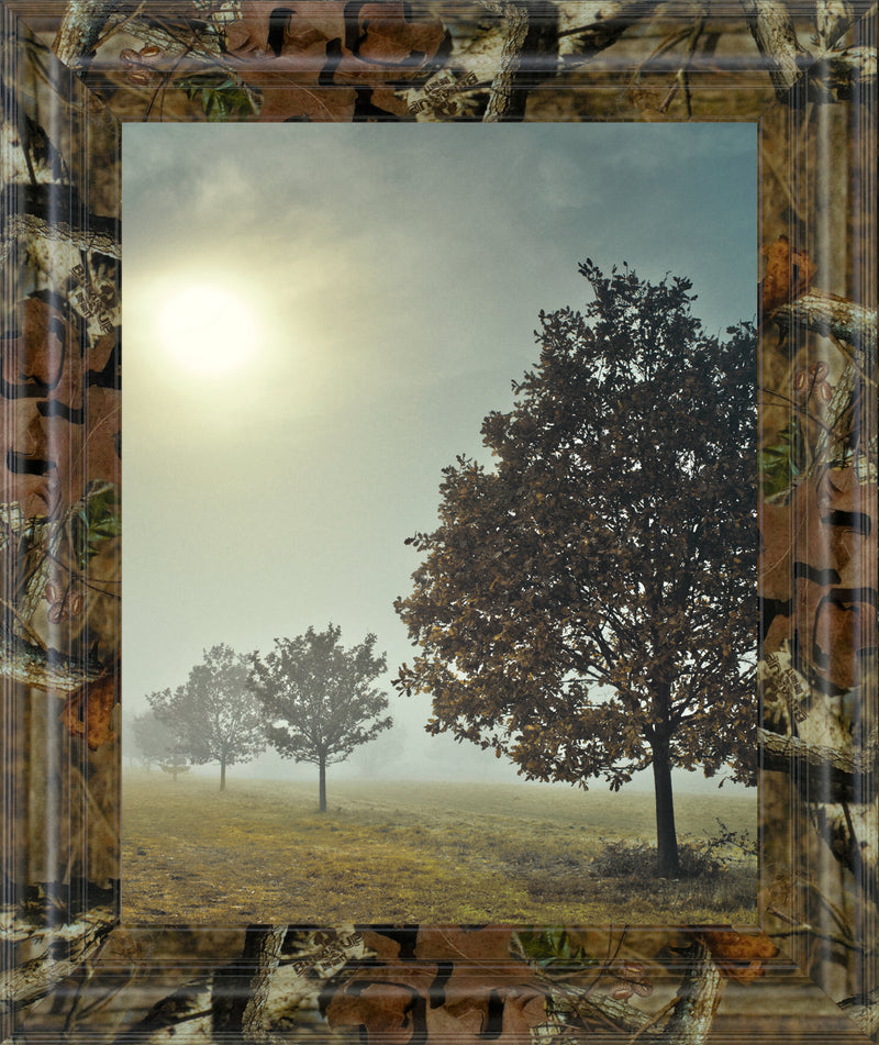 It'S A New Day By Frank, A