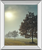 It'S A New Day By Frank, A