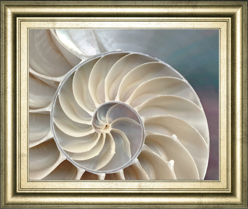 Nautilus By Levine, A.