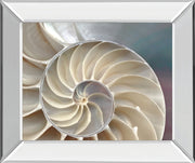 Nautilus By Levine, A.
