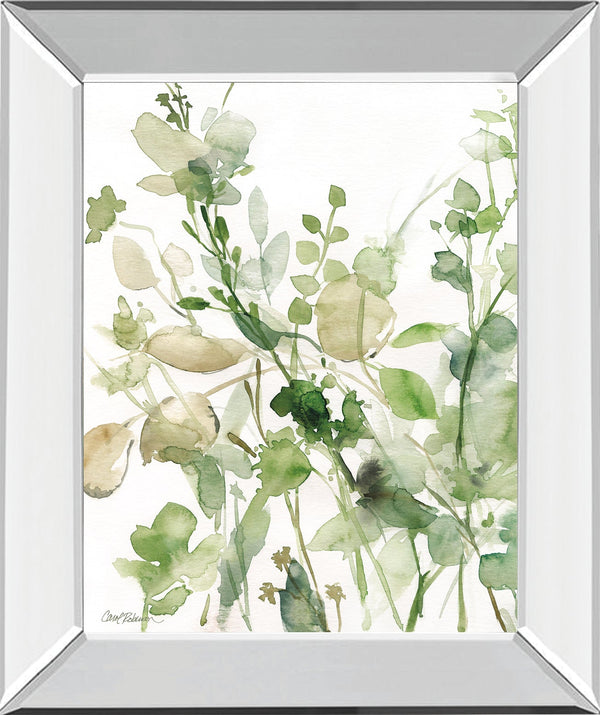 Sage Garden II By Carol Robinson