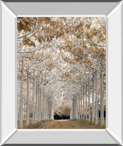White Gold by Assaf Frank