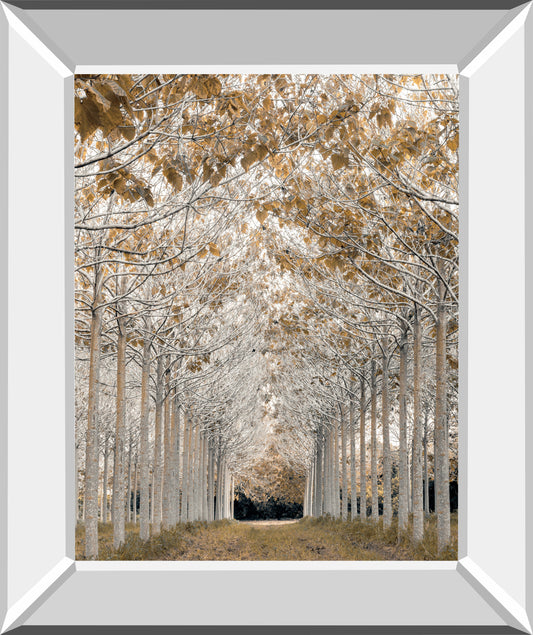 White Gold by Assaf Frank