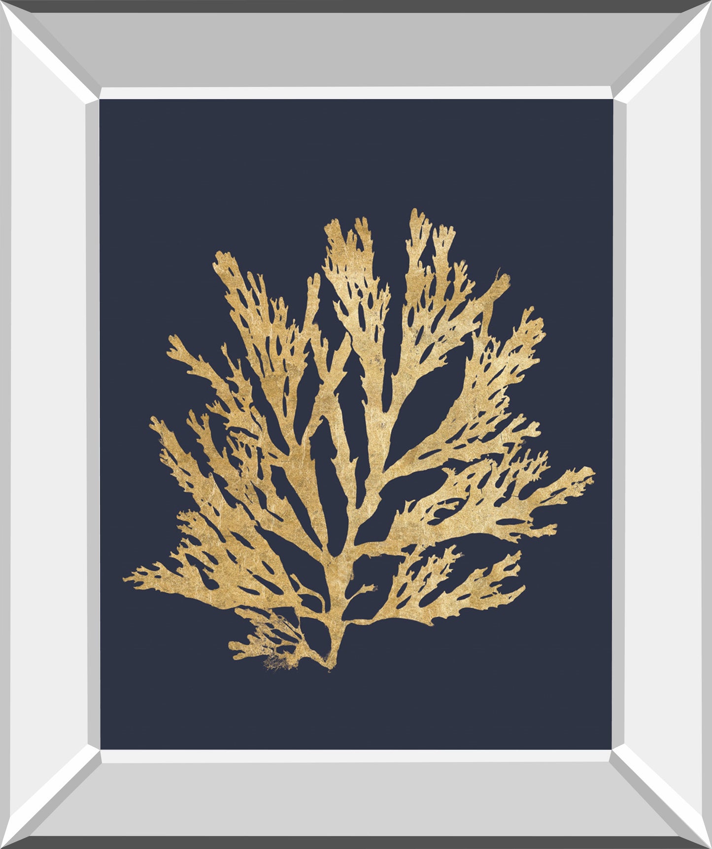 Pacific Sea Mosses I Indigo by Wild Apple Portfolio