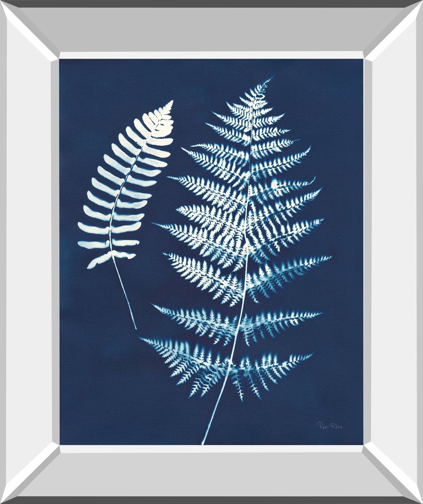 Nature by the Lake Ferns V by Piper Rhue