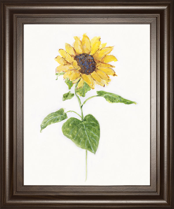 Sunflower I BY Sally Swatland
