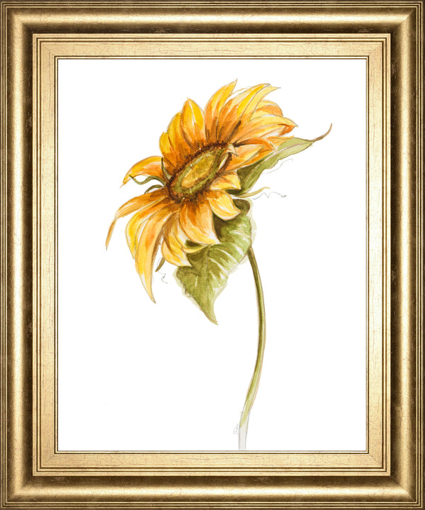 Harvest Gold Sunflower I BY PatriciaPinto
