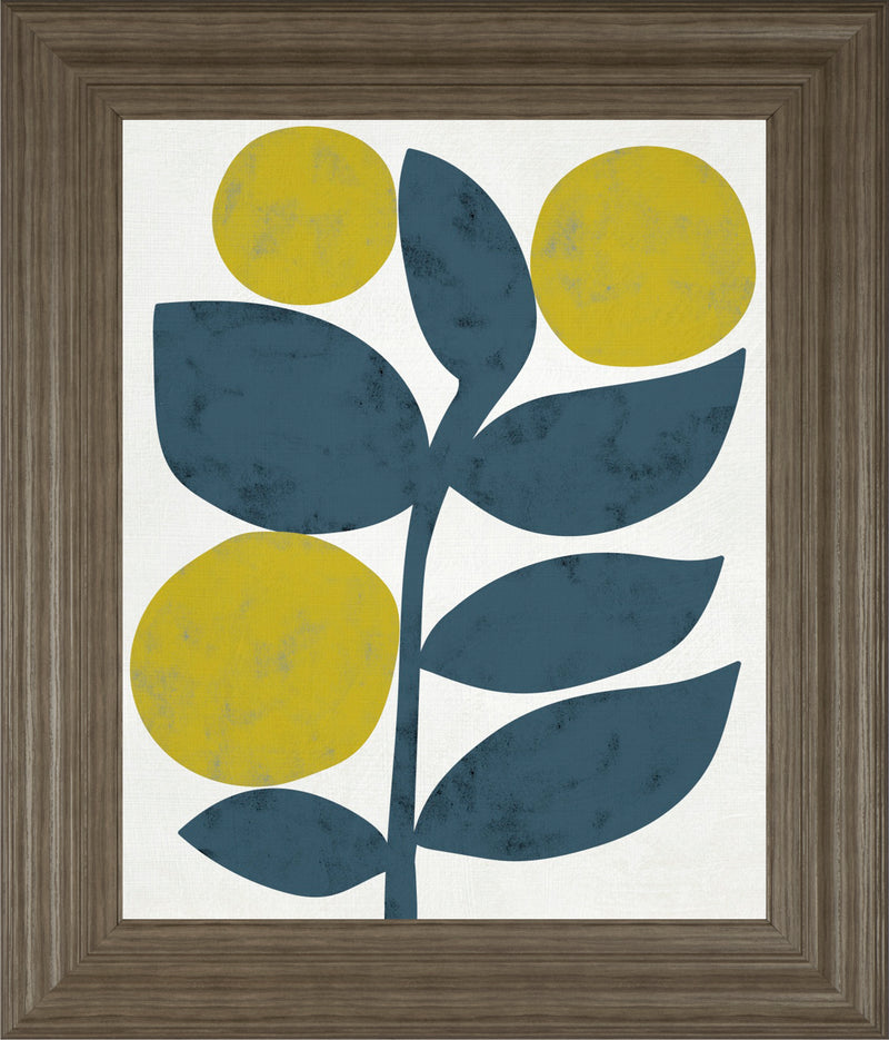 Branch I BY Chariklia Zarris