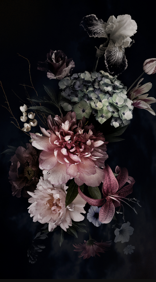 Assorted Canvas 36 × 48 Flowers on Black