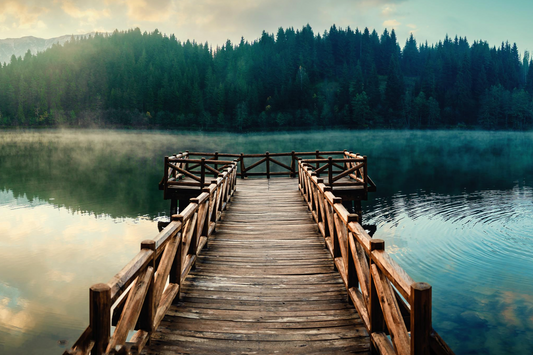 Misty Dock Landscape Assorted Canvas 36" x 48"