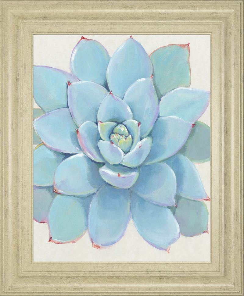 Pastel Succulent I BY Tim OToole