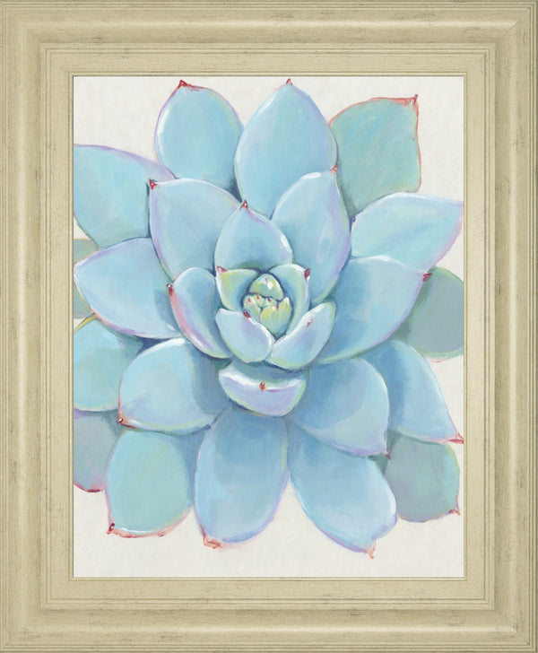 Pastel Succulent I BY Tim OToole