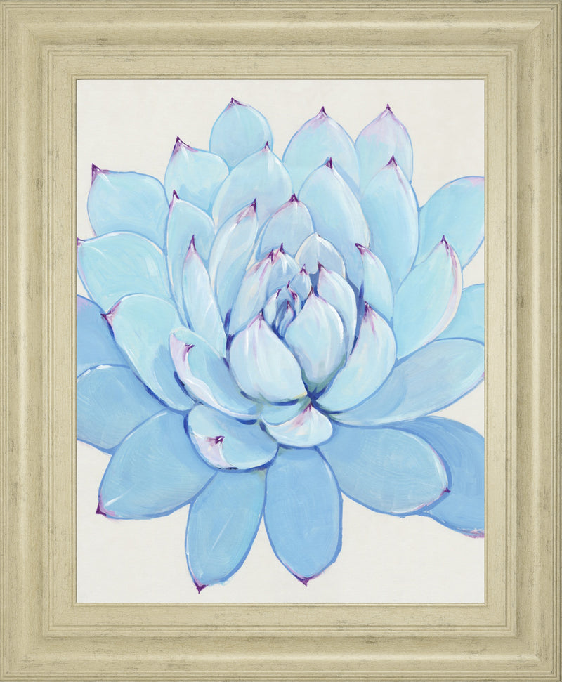 Pastel Succulent II BY Tim OToole