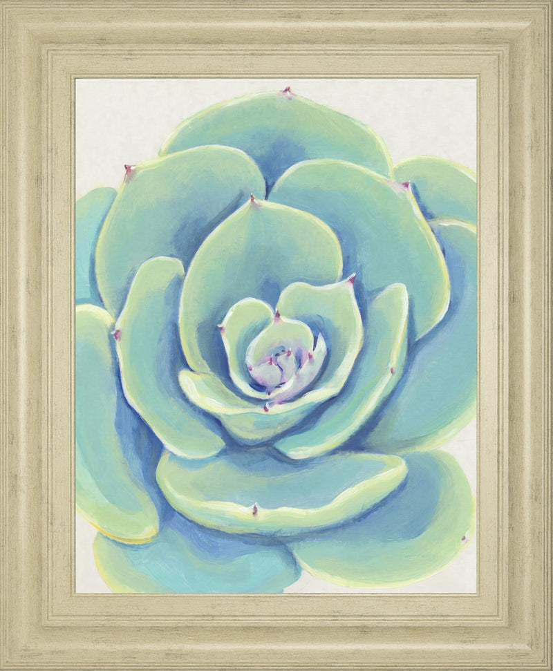 Pastel Succulent IV BY Tim OToole