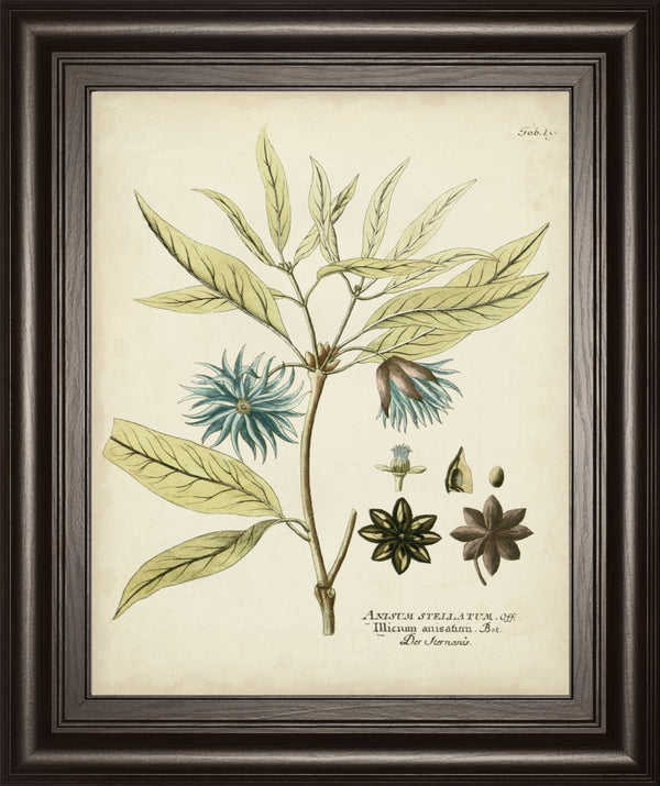 Eloquent Botanical III BY Vision Studio
