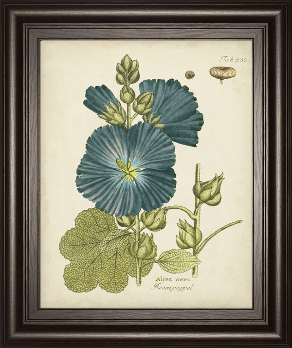 Eloquent Botanical IV BY Vision Studio
