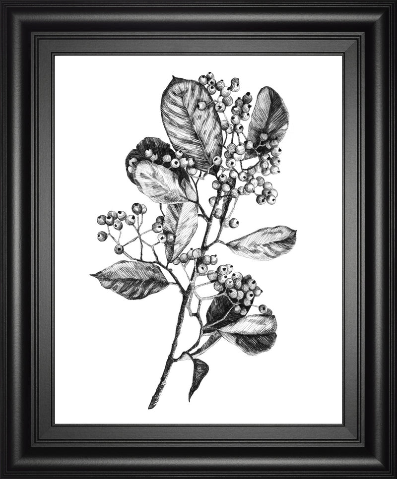 Hawthorn Berry Branch I BY Emma Scarvey