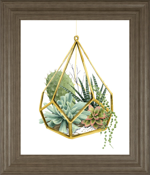 Wild Terrarium II BY Grace Popp