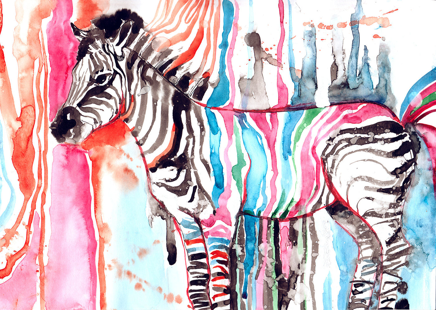 ''Prismatic Safari Zebra'' Printed Wrapped Canvas