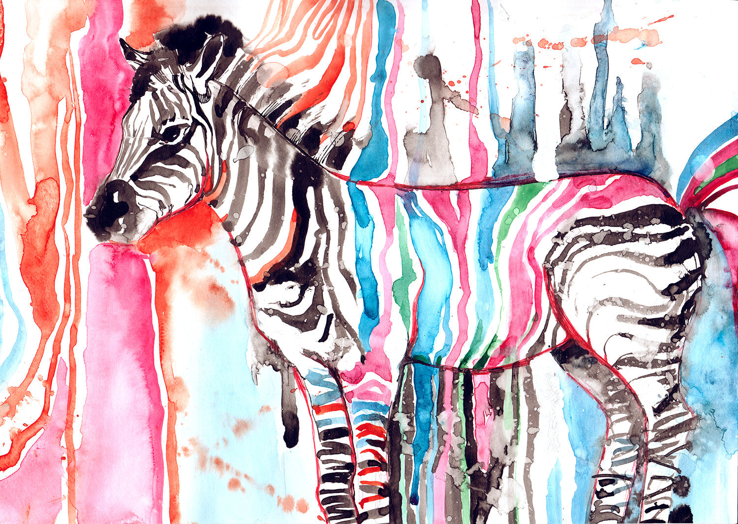 ''Prismatic Safari Zebra'' Printed Wrapped Canvas