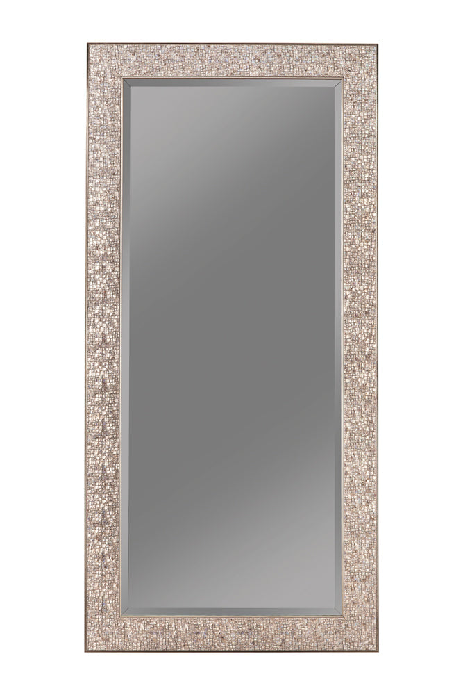 Rollins 32 x 66 Inch Rectangular Floor Mirror Black