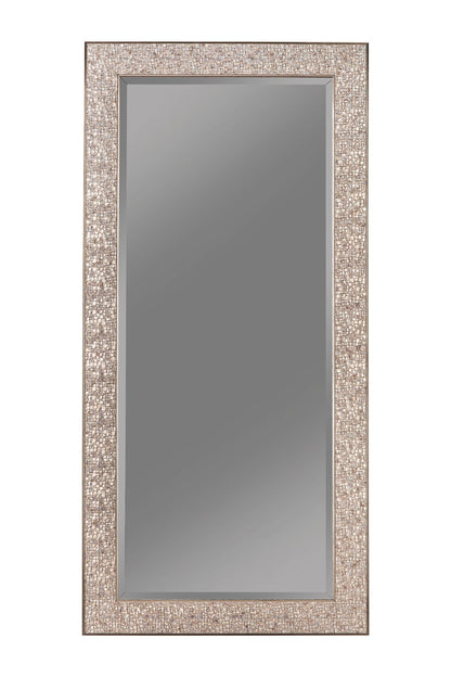 Rollins 32 x 66 Inch Rectangular Floor Mirror Black