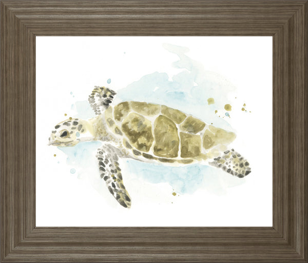 Watercolor Sea Turtle Study II BY June Erica Vess