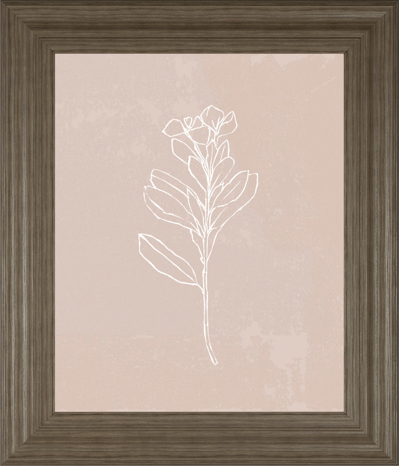 Blush Bloom I BY Annie Warren