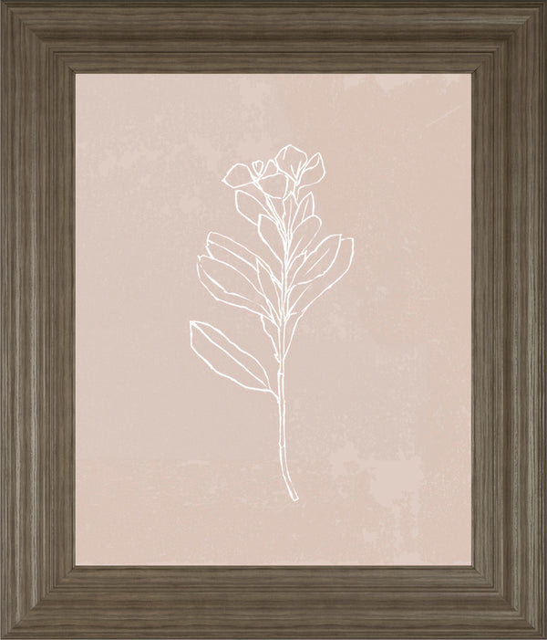 Blush Bloom I BY Annie Warren